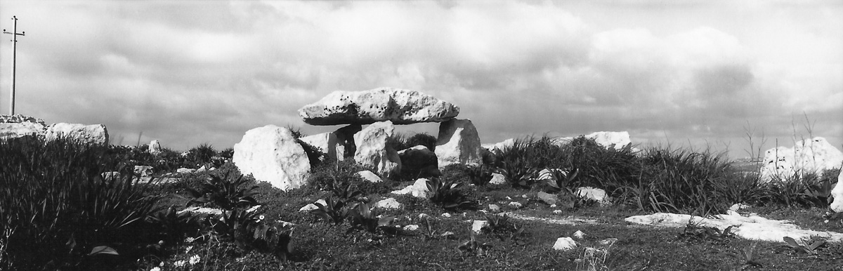 Stacks Image 89